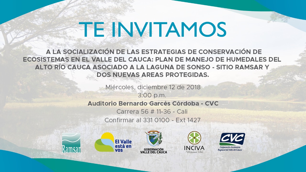 plan manejo