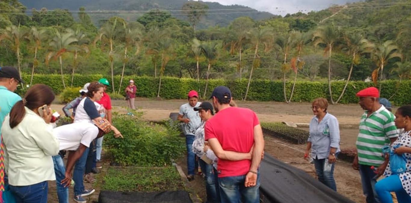 CVC REALIZÓ ENCUENTRO DE VIVEROS COMUNITARIOS EN PALMIRA    
