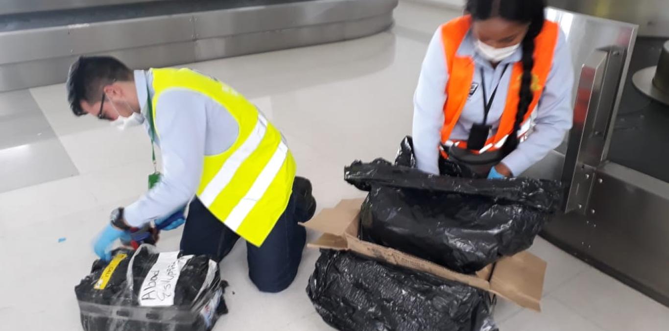 CVC HACE SEGUIMIENTO Y CONTROL AL TRÁFICO DE FLORA Y FAUNA EN PALMIRA  