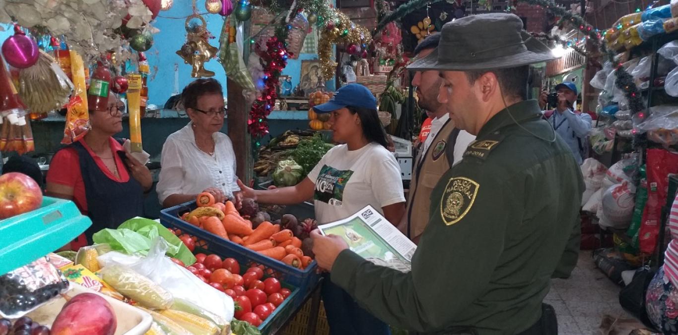 CVC Y POLICÍA CONTROLAN TRÁFICO DE FLORA Y FAUNA EN CARTAGO