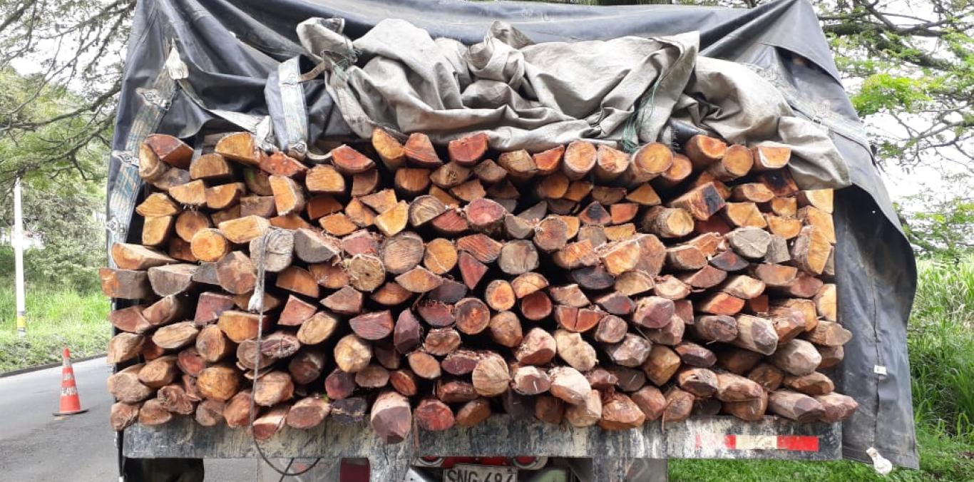 CVC Y POLICÍA DECOMISARON 1.100 POSTES DE MADERA EN BOLÍVAR