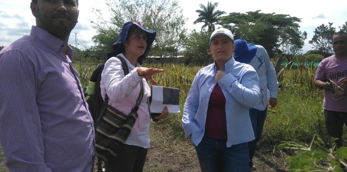LISTOS LOS ESTUDIOS DE RIESGO PARA BOLÍVAR, VERSALLES Y ROLDANILLO 