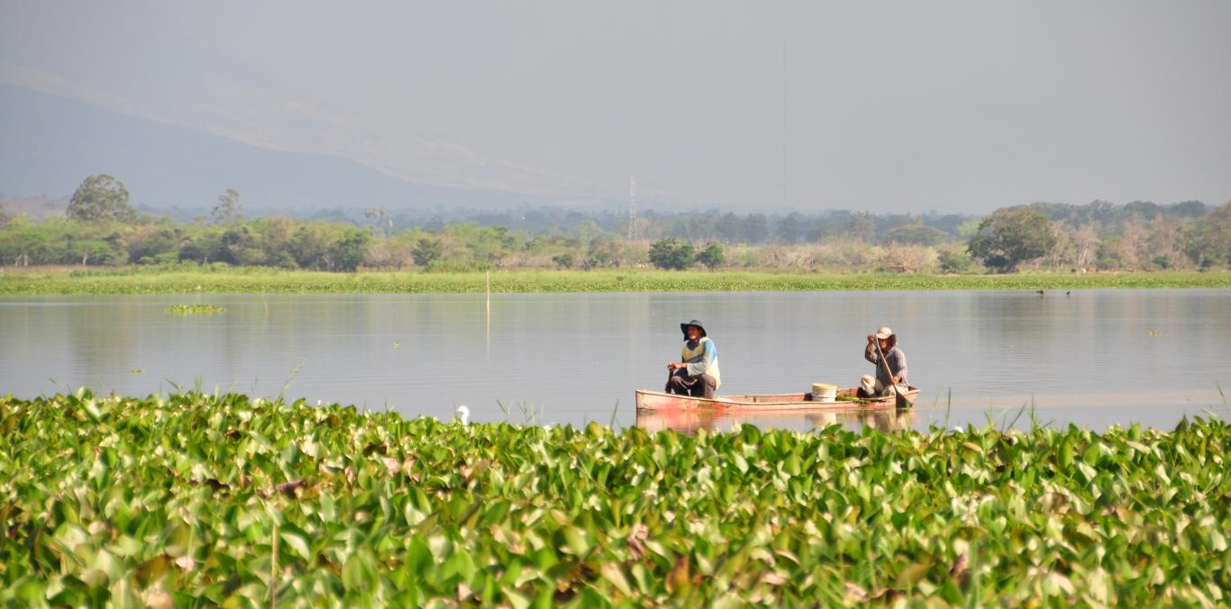 APROBADO EL PLAN DE MANEJO AMBIENTAL PARA EL COMPLEJO DE HUMEDALES DEL ALTO RÍO CAUCA ASOCIADO A LA LAGUNA DE SONSO