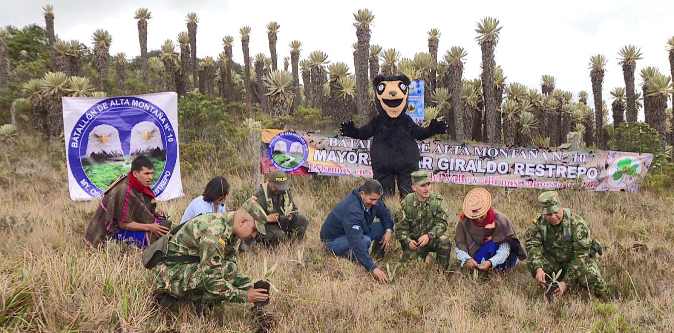 CON SEGUNDA SIEMBRA DE FRAILEJONES, EJÉRCITO Y CVC TRABAJAN POR LA PRESERVACIÓN DE PÁRAMOS