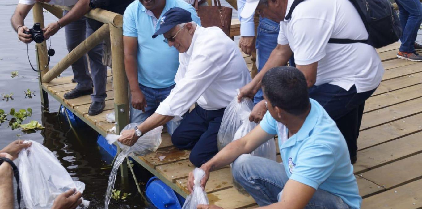 CVC Y FUERZA AÉREA LLEVARÁN 30 MIL BOCACHICOS PARA CONTRIBUIR CON EMERGENCIA AMBIENTAL POR HIDROITUANGO