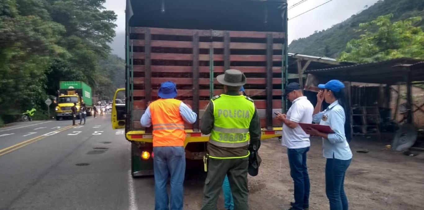 ADELANTAN OPERATIVOS PARA EL CONTROL DE MADERA ILEGAL
