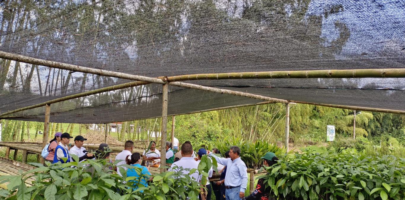 10 MIL ÁRBOLES FORTALECERÁN AL VIVERO MUNICIPAL DE LA CUMBRE