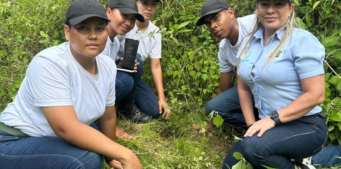 MANOS AL ÁRBOL:  JÓVENES VOLUNTARIOS Y LA CVC REVERDECEN EL DERRUMBADO, EN BUGA
