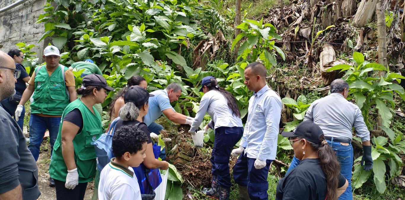 CVC BRINDA APOYO A COMUNIDAD DAGÜEÑA POR PROLIFERACIÓN DE CARACOL AFRICANO