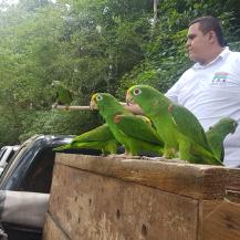 OPERACIÓN REGRESO A LA LIBERTAD IV LLEVÓ 159 ANIMALES A SU HÁBITAT  