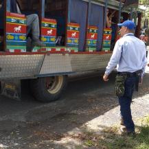 “A VIVIR UNA NAVIDAD EN PAZ CON LA NATURALEZA”: CVC Y POLICÍA 