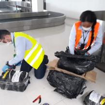 CVC HACE SEGUIMIENTO Y CONTROL AL TRÁFICO DE FLORA Y FAUNA EN PALMIRA  