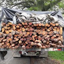 CVC Y POLICÍA DECOMISARON 1.100 POSTES DE MADERA EN BOLÍVAR