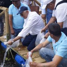 CVC Y FUERZA AÉREA LLEVARÁN 30 MIL BOCACHICOS PARA CONTRIBUIR CON EMERGENCIA AMBIENTAL POR HIDROITUANGO