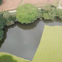 $3.500 MILLONES ESTÁ INVIRTIENDO LA CVC EN MANTENIMIENTO A LOS HUMEDALES DEL VALLE DEL CAUCA 