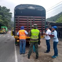 ADELANTAN OPERATIVOS PARA EL CONTROL DE MADERA ILEGAL