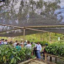 10 MIL ÁRBOLES FORTALECERÁN AL VIVERO MUNICIPAL DE LA CUMBRE