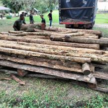 LUCHA CONTRA LOS TRAFICANTES DE MADERA: CVC DECOMISA MATERIAL ILEGAL EN CARTAGO