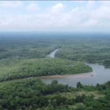ACCIONES CONJUNTAS POR LA CONSERVACIÓN DE ISLA AJÍ, EN BUENAVENTURA
