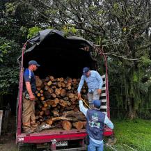 LUCHA CONTRA EL TRÁFICO DE MADERA CONTINÚA EN VÍAS DEL VALLE DEL CAUCA