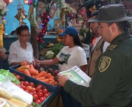 CVC Y POLICÍA CONTROLAN TRÁFICO DE FLORA Y FAUNA EN CARTAGO