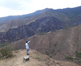 EL CERRO DAPA REVERDECERÁ CON UN CENTENAR DE ÁRBOLES NATIVOS  