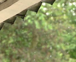 EN LA REGIÓN ANDINA DEL VALLE LAS LLUVIAS SUPERARON EN UN 27% LO ESPERADO