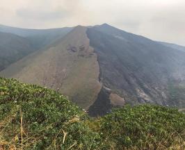 CONTROLADO INCENDIO FORESTAL EN ZONA RURAL DE CALI LUEGO DE 48 HORAS 