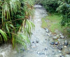 LA CVC HACE RECOMENDACIONES PARA VIVIR UNA SEMANA SANTA EN PAZ Y ARMONIA CON LA NATURALEZA 