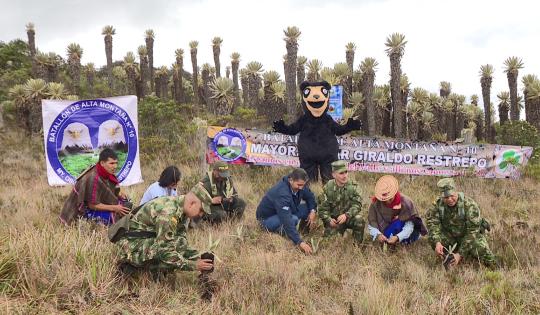 CON SEGUNDA SIEMBRA DE FRAILEJONES, EJÉRCITO Y CVC TRABAJAN POR LA PRESERVACIÓN DE PÁRAMOS