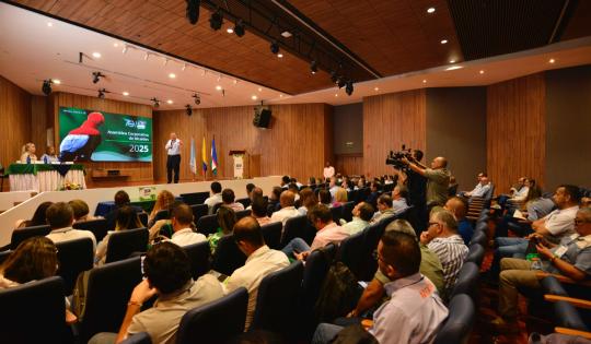 ALCALÁ Y CANDELARIA, NUEVOS REPRESENTANTES DE LOS ALCALDES EN LA CVC