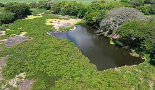 DIEZ HUMEDALES LÉNTICOS DEL VALLE DEL CAUCA SERÁN INTERVENIDOS