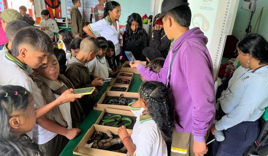 CVC CAPACITA A ESTUDIANTES DE DAGUA SOBRE EL MANEJO DE SERPIENTES, TRAS REPORTES EN PLANTEL EDUCATIVO