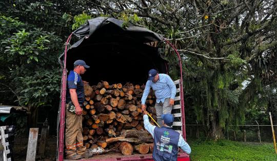 LUCHA CONTRA EL TRÁFICO DE MADERA CONTINÚA EN VÍAS DEL VALLE DEL CAUCA