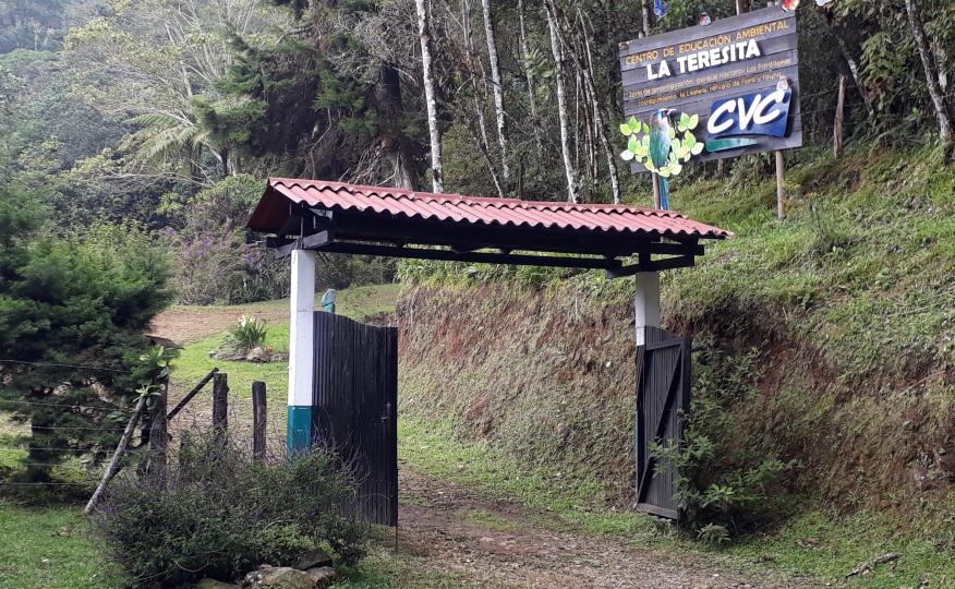 Galería de Imágenes la Teresita