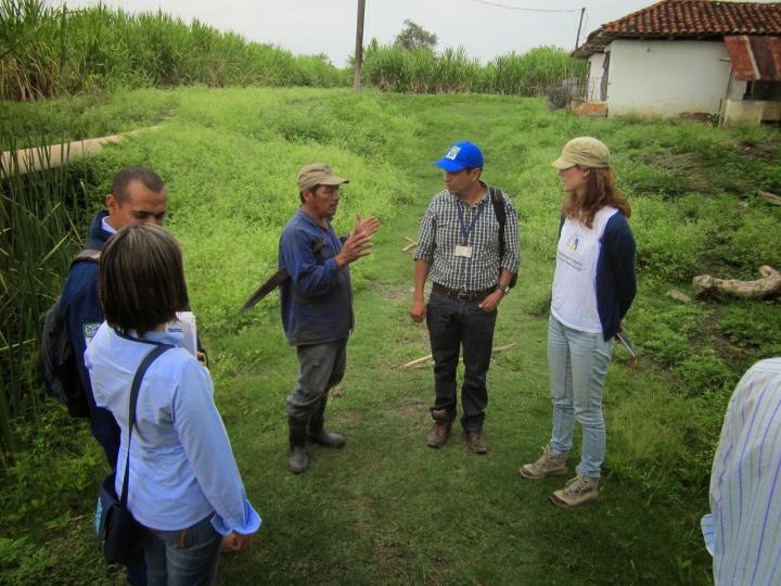 Trabajo de Campo