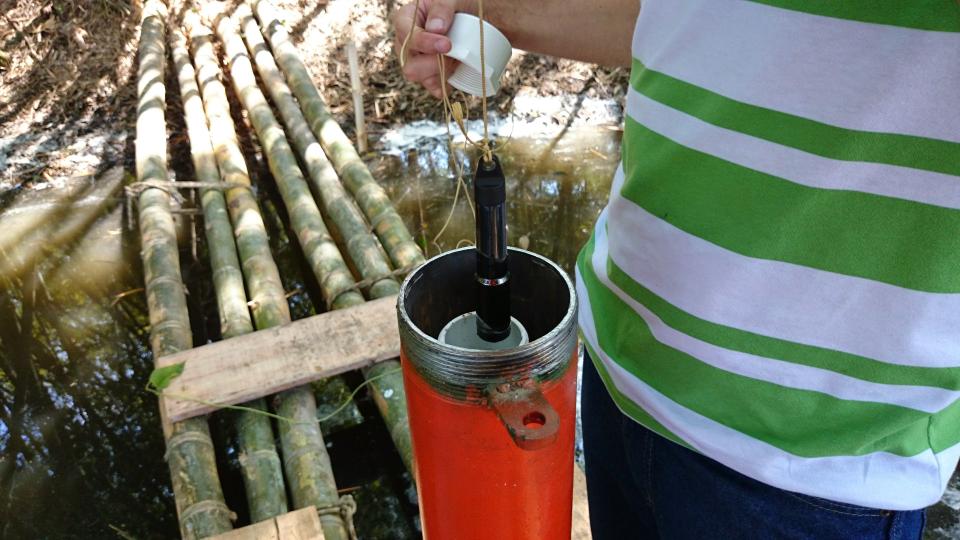 Trabajo de Campo