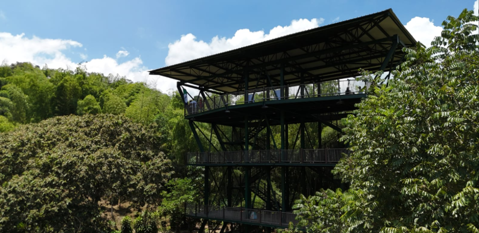 EL TURISMO DE NATURALEZA SE FORTALECE EN EL VALLE CON EL NUEVO CENTRO DE EDUCACIÓN AMBIENTAL LAS HELICONIAS EL TURISMO DE NATURALEZA SE FORTALECE EN EL VALLE CON EL NUEVO CENTRO DE EDUCACIÓN AMBIENTAL LAS HELICONIAS